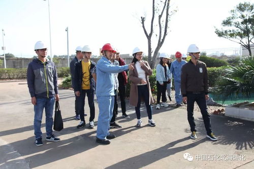 走綠色發(fā)展之路，樹環(huán)保標(biāo)桿企業(yè)——環(huán)境保護(hù)監(jiān)測的核心使命與實(shí)踐路徑